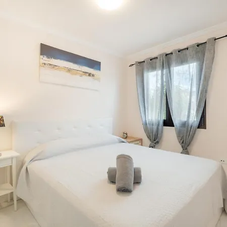 Spacious Laurisilva *